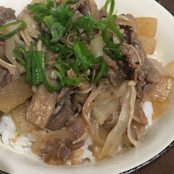 ◾️牛丼◾️野菜たっぷり